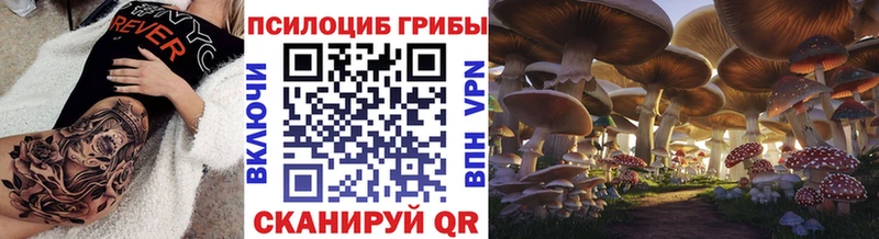 магазин продажи наркотиков  Артёмовский  Псилоцибиновые грибы мицелий 